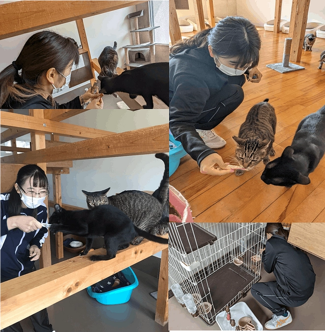 ティアハイム小学校さんでスタッフ体験をさせて頂きました！