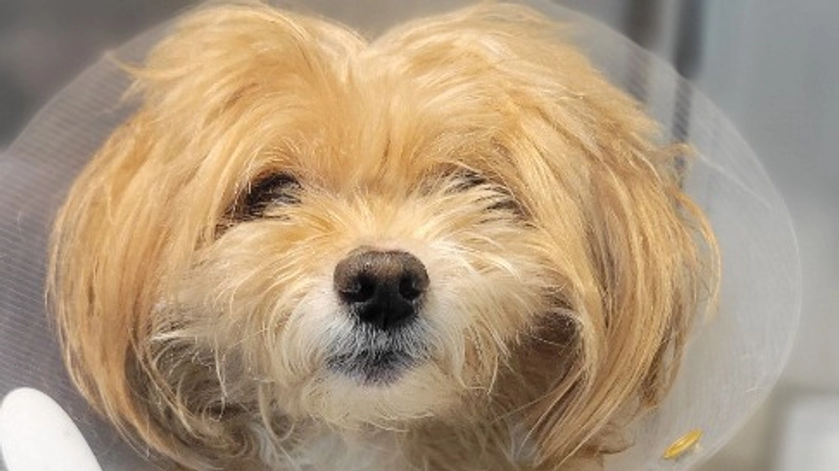 頑張って乗り越えてくれました！！