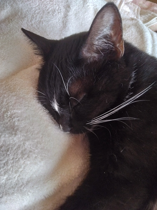 6/21はなちゃんの様子