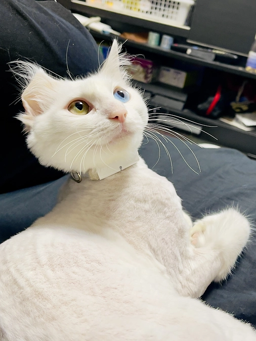 クラウドファンディング開始・ご挨拶