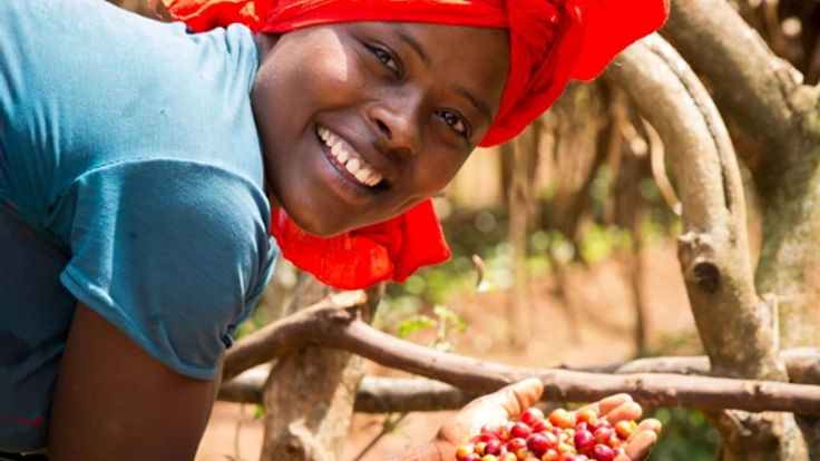 一杯の選択が生産者の力になる!フェアトレードを日本に広めたい