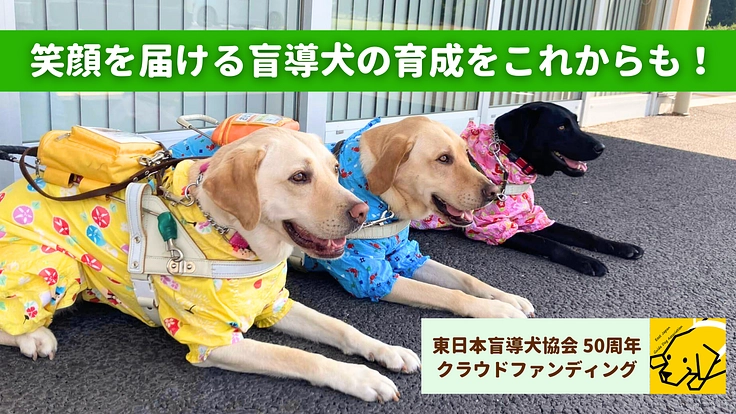 東日本盲導犬協会50周年｜視覚障がい者を支える盲導犬事業にご支援を