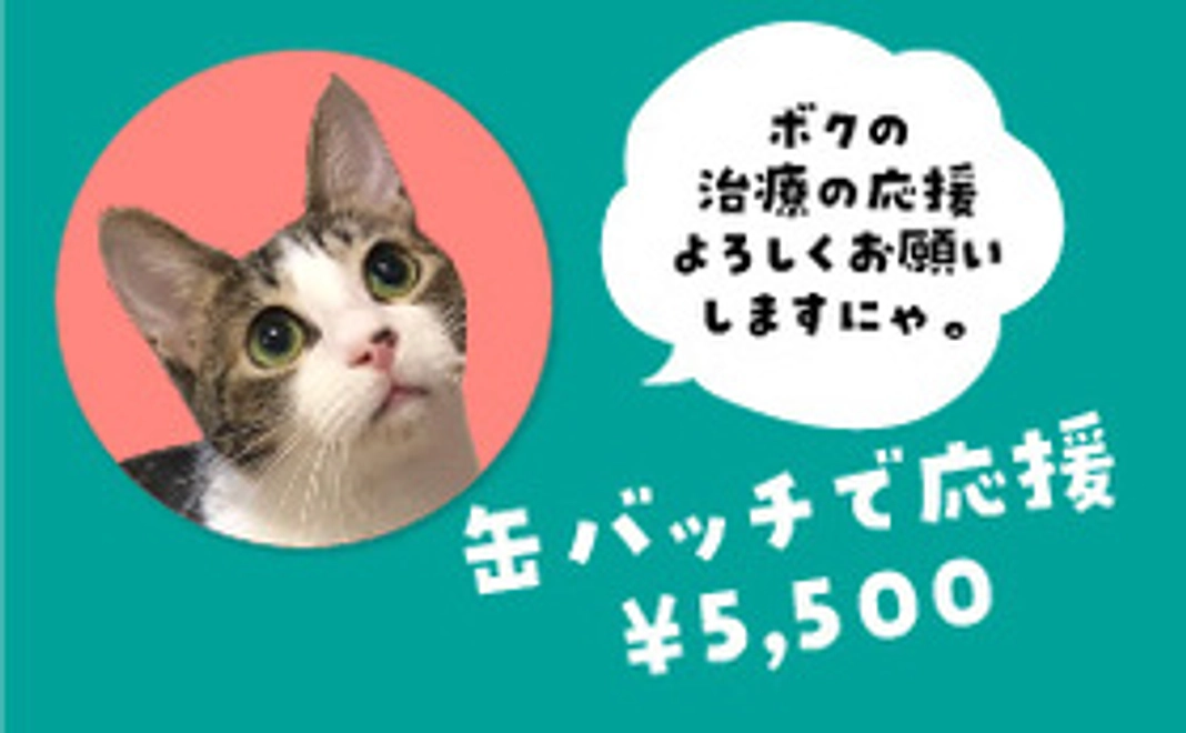 保護猫太郎の缶バッチで応援コース5500円
