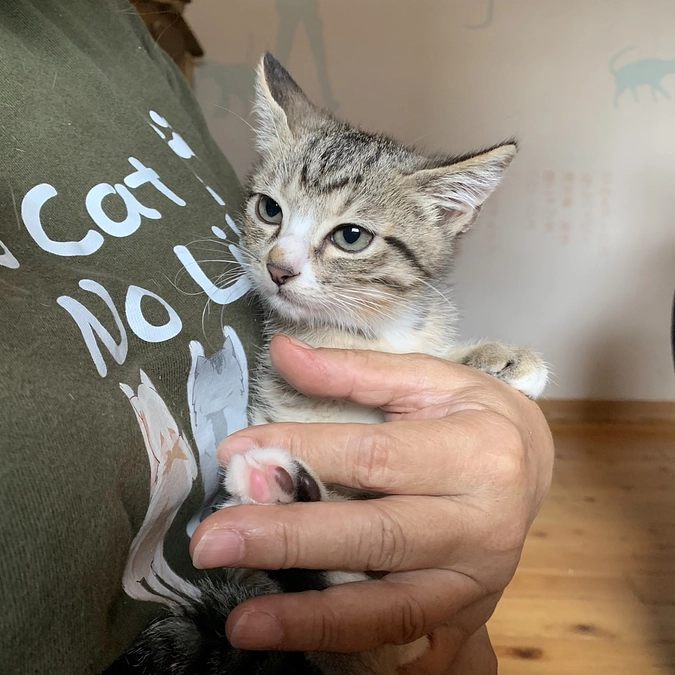 プロジェクト開始しました！早速のご支援に涙が出るほど嬉しいです！ありがとうございます！