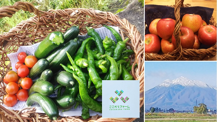 青森の里山で、自然とともにある暮らしを体験できるキャンプ場を！