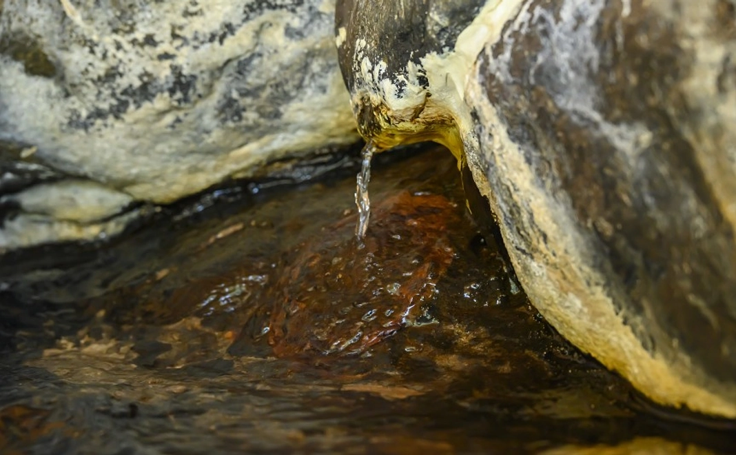 【3000円】応援コース