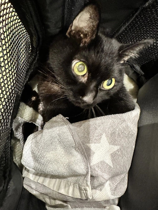 ちび、帰ります！！