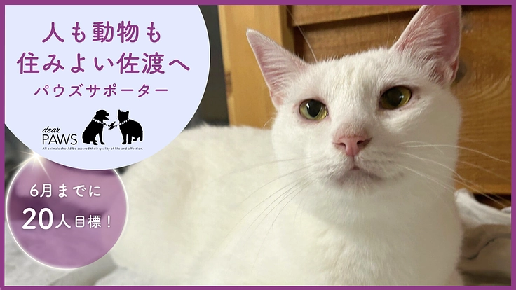 パウズサポーター募集｜佐渡を人にも動物にも住み良い島にしたい！