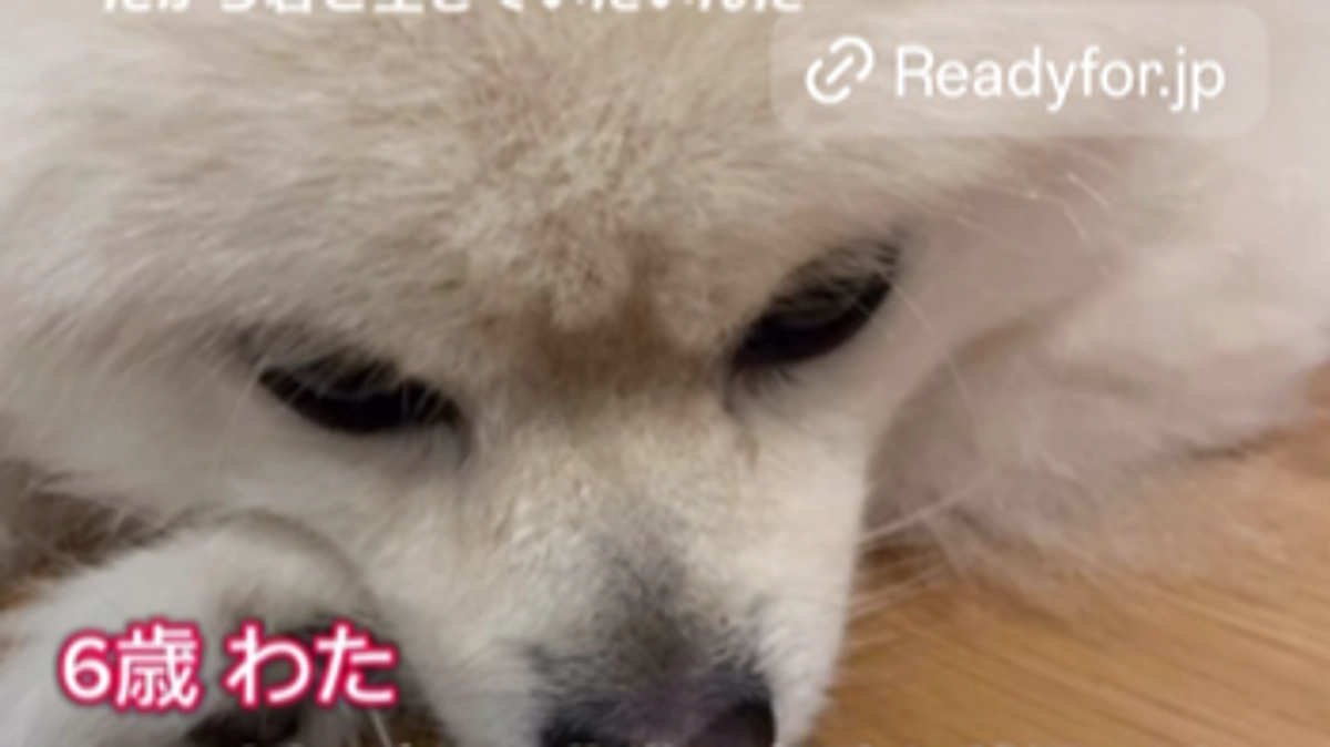 残り４８時間（公開３７日目）