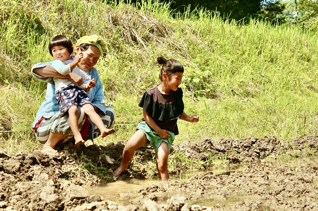 うぅっ！！ハラハラ…あと3日！応援コメントのご紹介