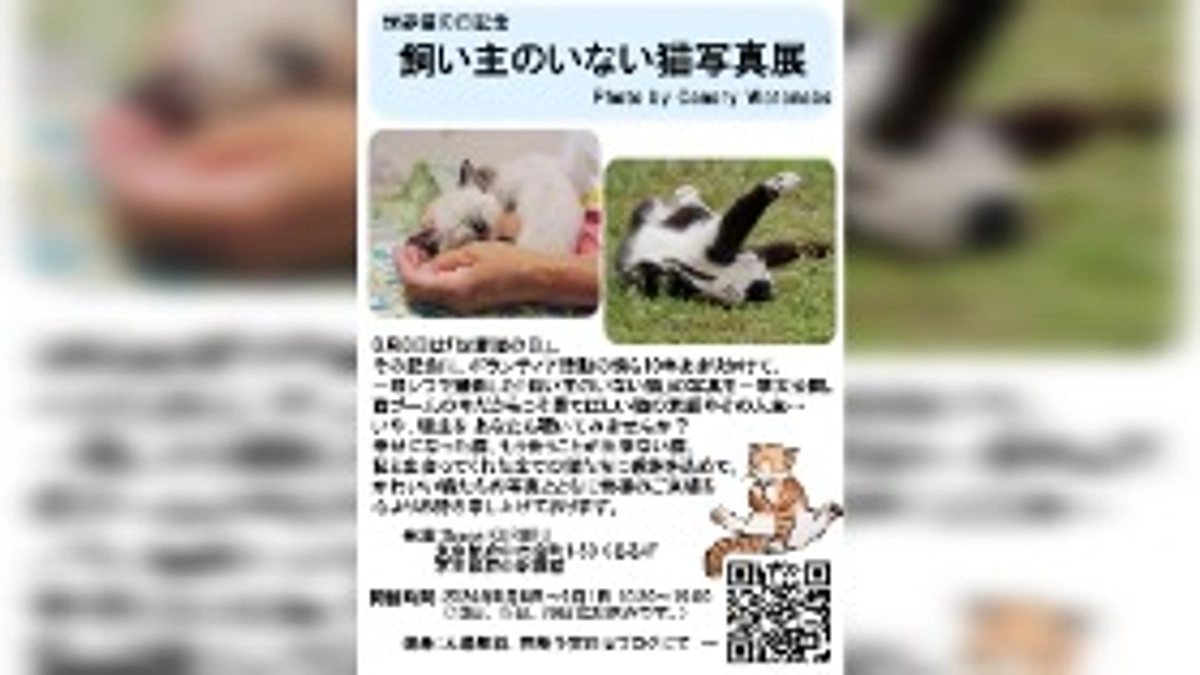 東京都府中市で写真の個展を開催します！