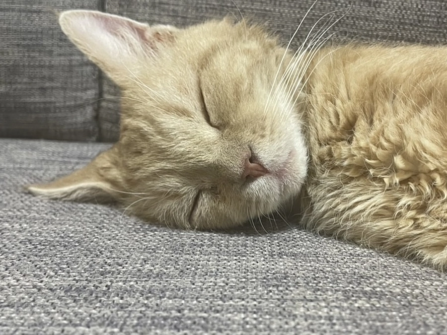 当ページをご覧頂き誠にありがとうございます。