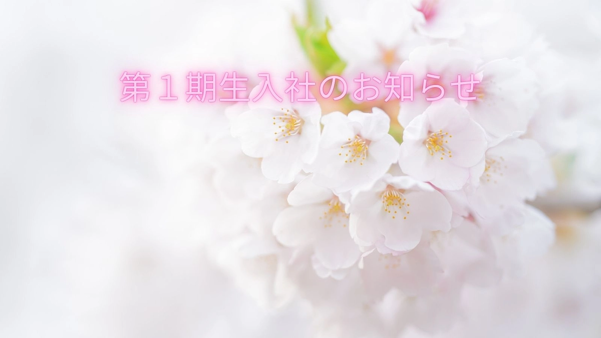 【ご報告】AIRDO Lakseløp プロジェクト 第1期生が入社いたしました！