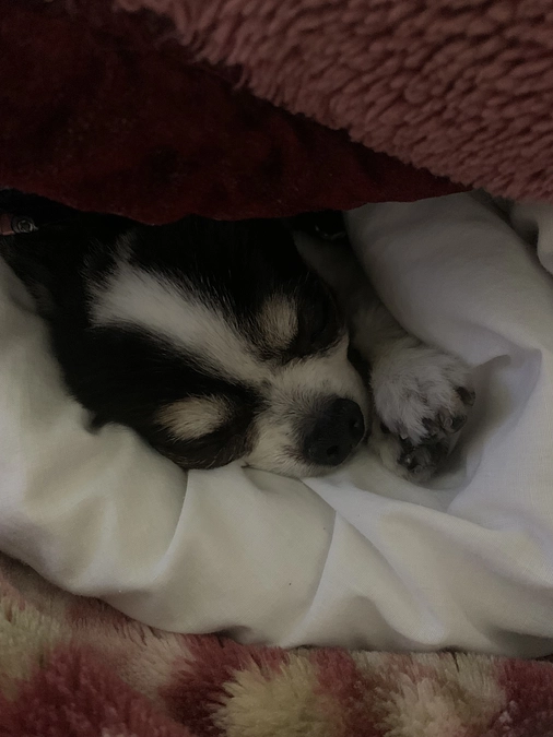 咳落ち着かず。