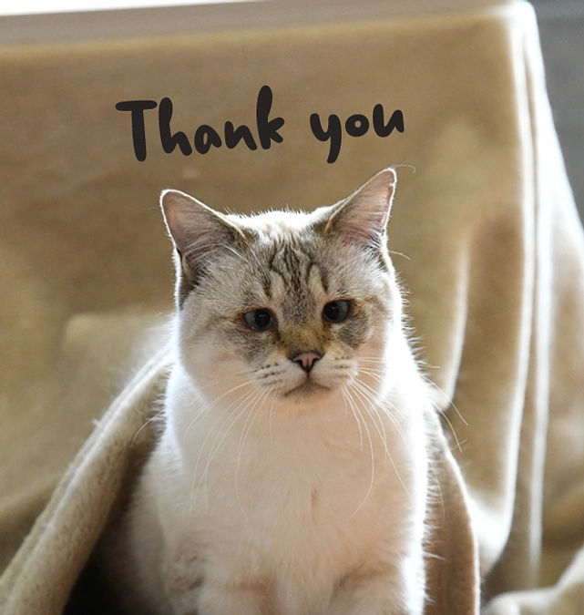 目標額達成しました！ありがとうございます！