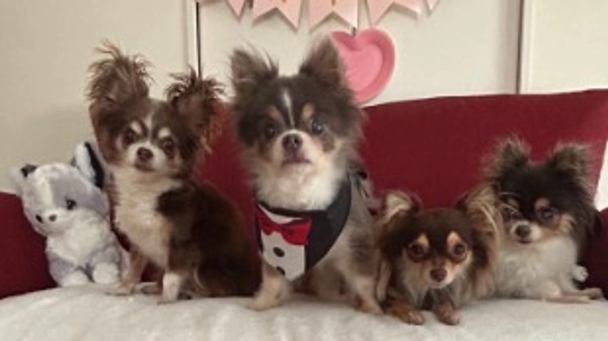 ココロのお父さん