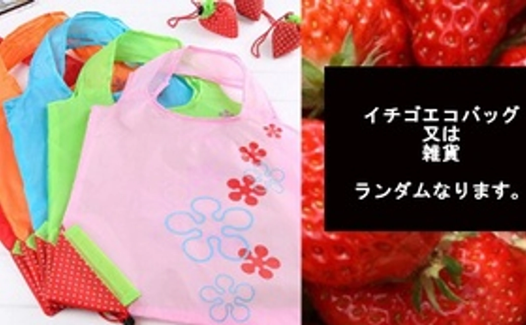 イチゴのエコバッグまたはイチゴ関連雑貨+感謝のお手紙
