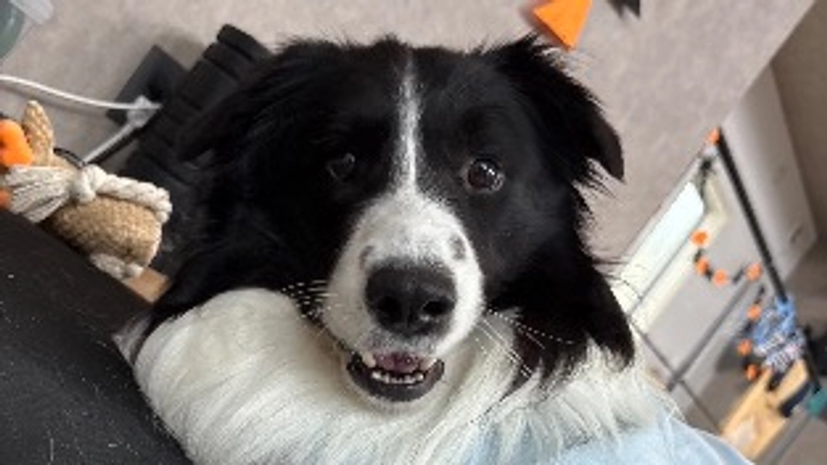 終了まで残り2日