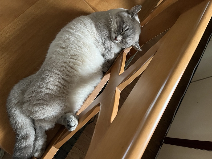 プロジェクト残り１８日となりました。皆様のご支援よろしくお願いいたします！