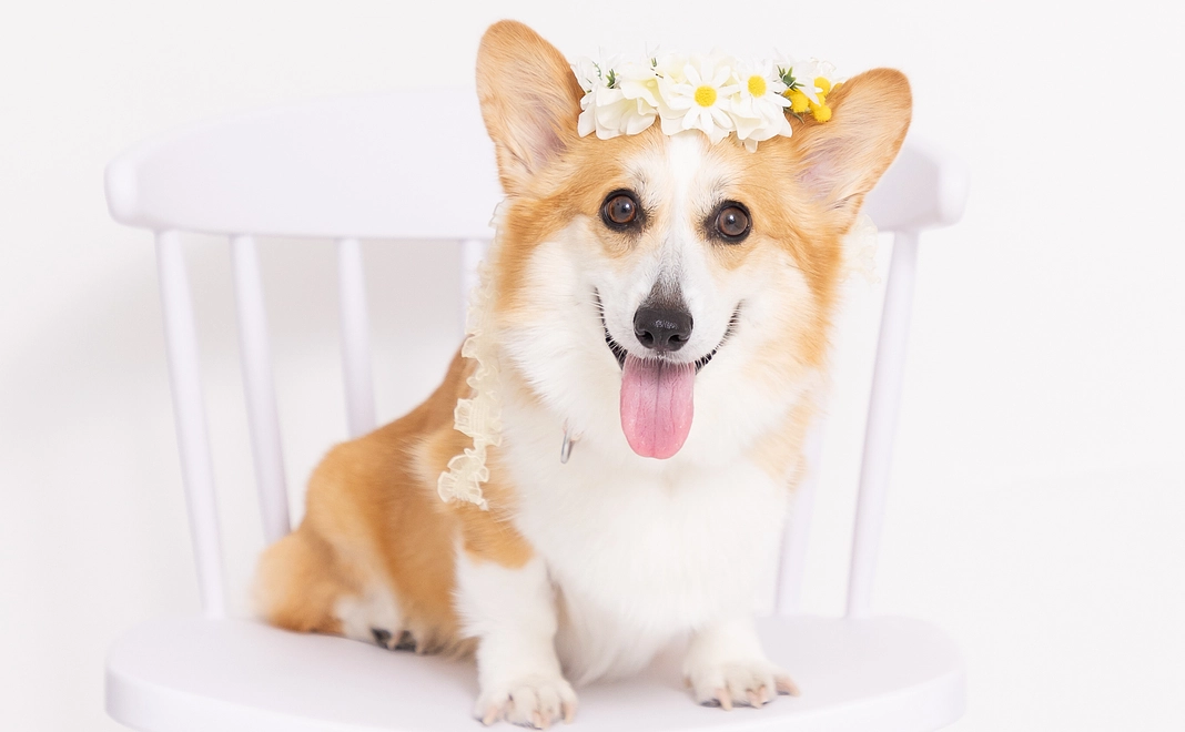 優ちゃんからの感謝のメール2