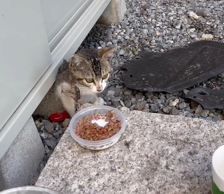 いよいよ明日！！