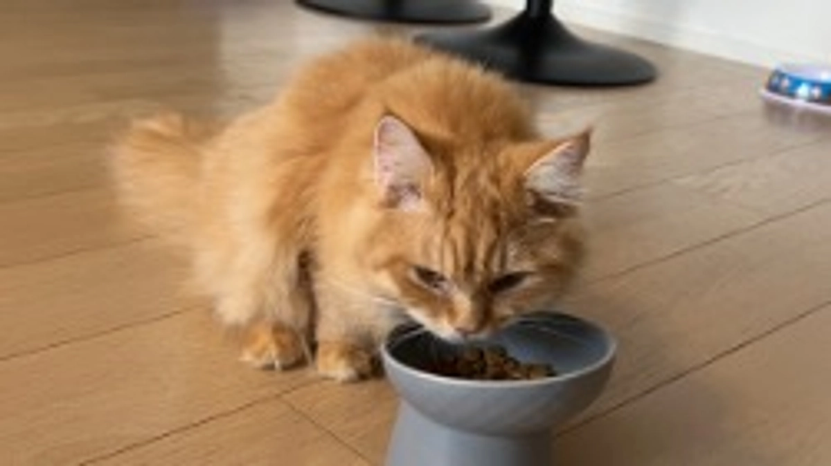 投薬開始から3日！