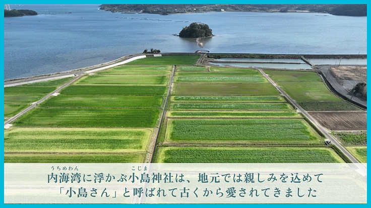 長崎県壱岐島の海に浮かぶ神域・小島神社|参道崩落の危機にご支援を 2枚目
