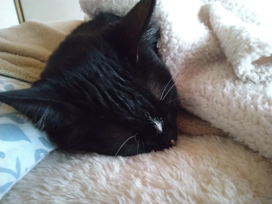 2/6はなちゃんの様子