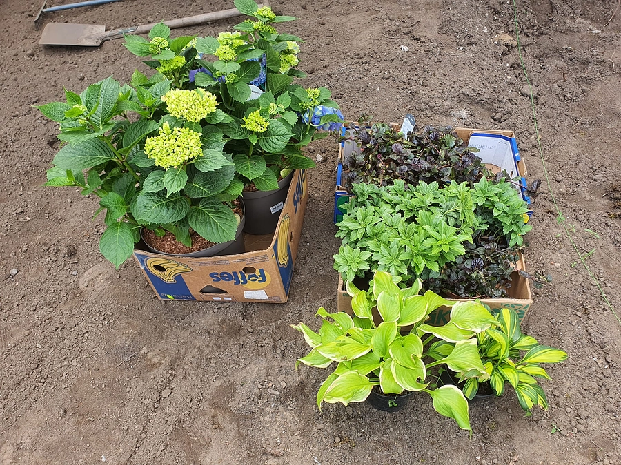 日本庭園造り　１０日目