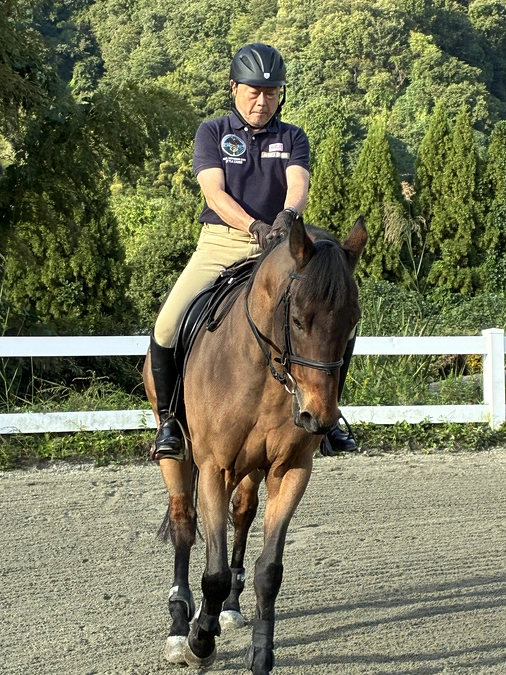リョーノテソーロ冬支度です