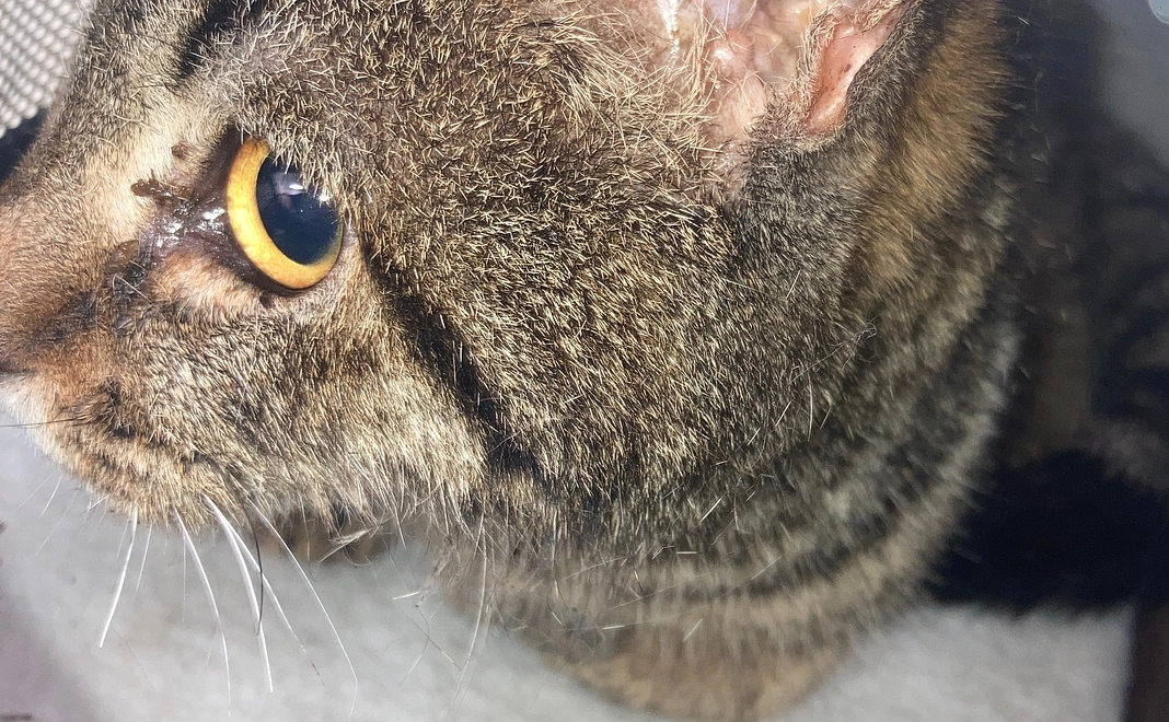 ◆感謝のメール②◆