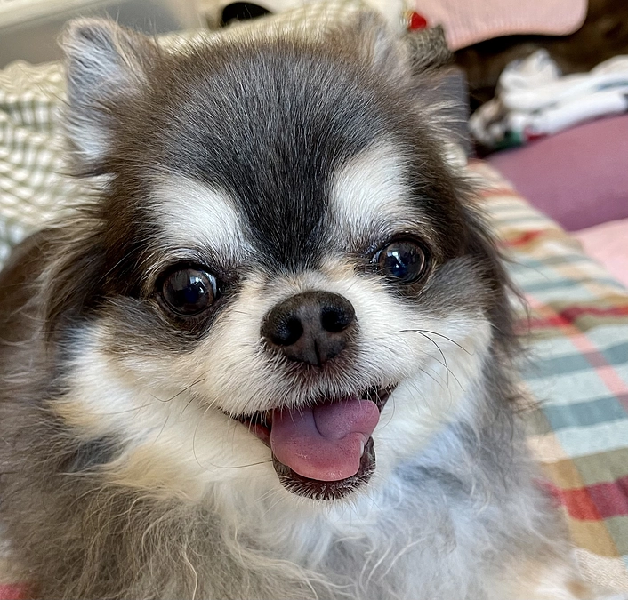 ももたん♡術後3か月検診のご報告