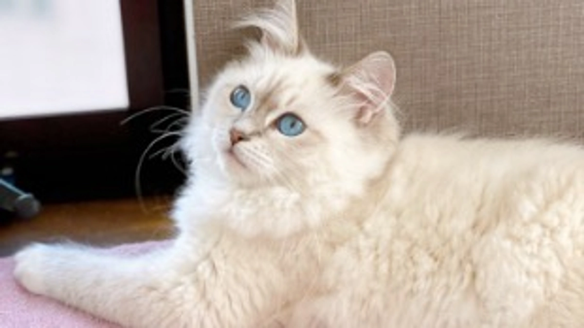 【ラスト11時間を切りました‼️仕事中に投稿、今日だけ許してください(内緒)】