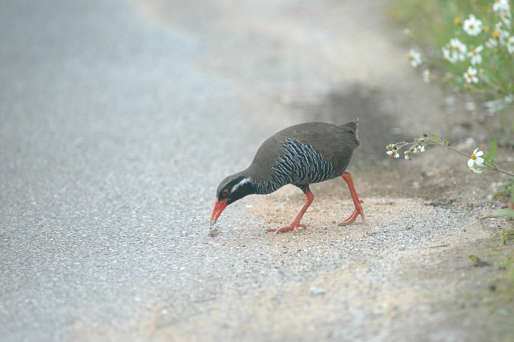 一度関わったら他人じゃないから。