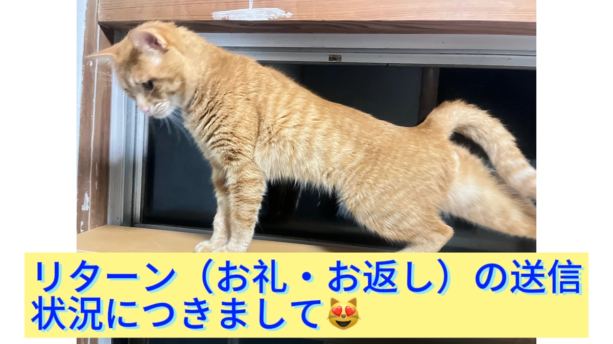 🍀リターン（お礼・お返し）の送信状況につきまして