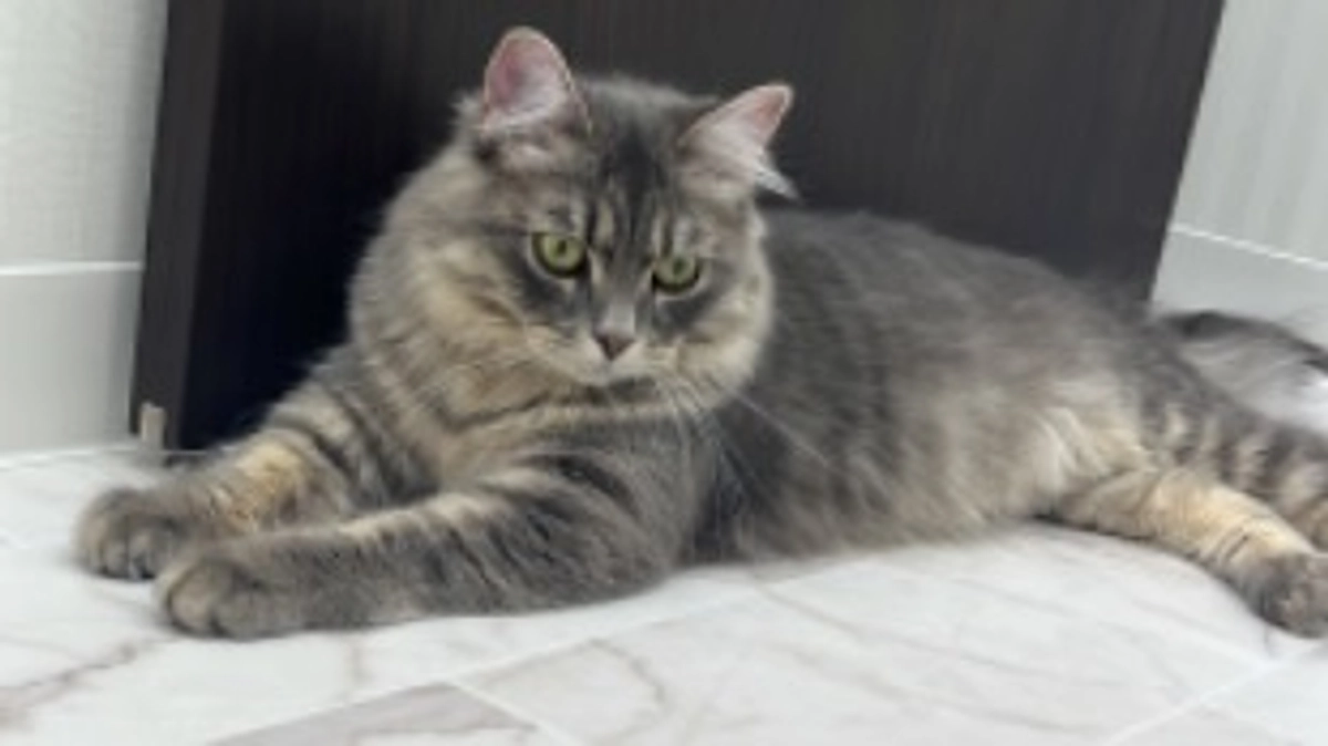 投薬56日目　眠いけどまだ遊びたい