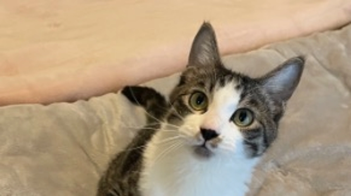 代理支援のお願い