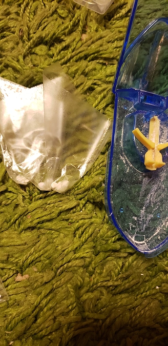 調子のよいコウ