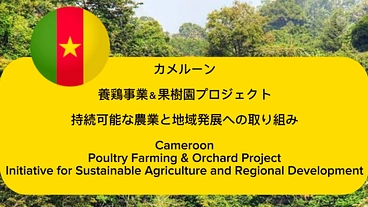 アフリカ カメルーンでの持続可能な養鶏事業&果樹園プロジェクト のトップ画像
