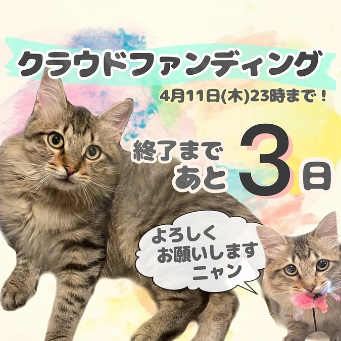 心からの感謝と、投薬再開7日目のちゃむ