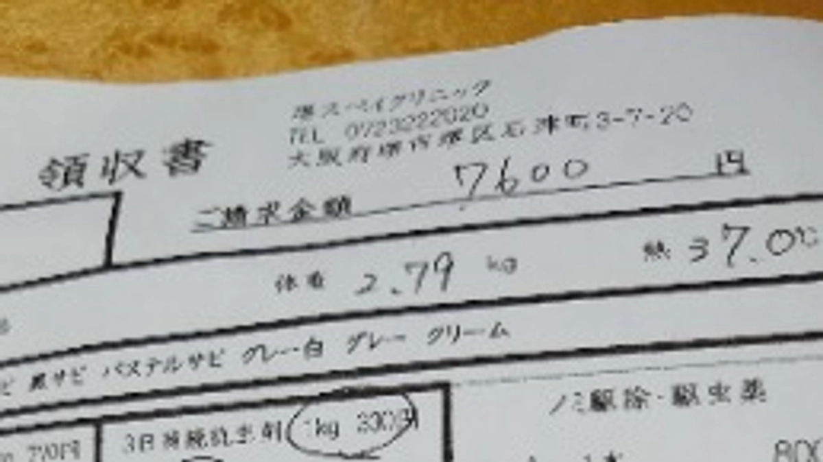 保護した　ツキちゃんの事。