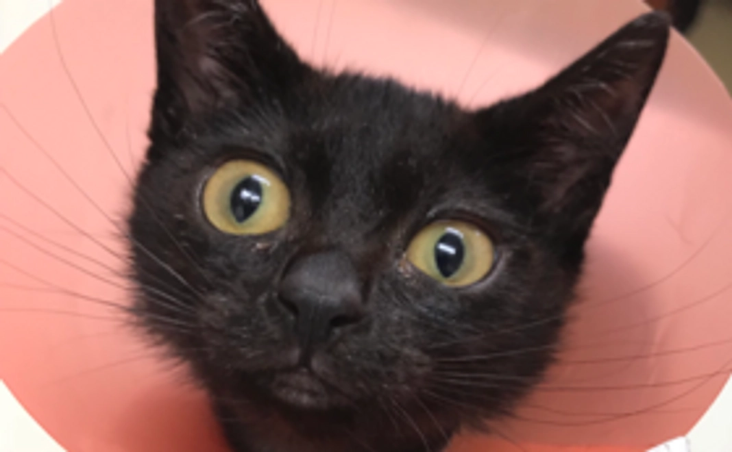 がんばれ！コース【3000円】