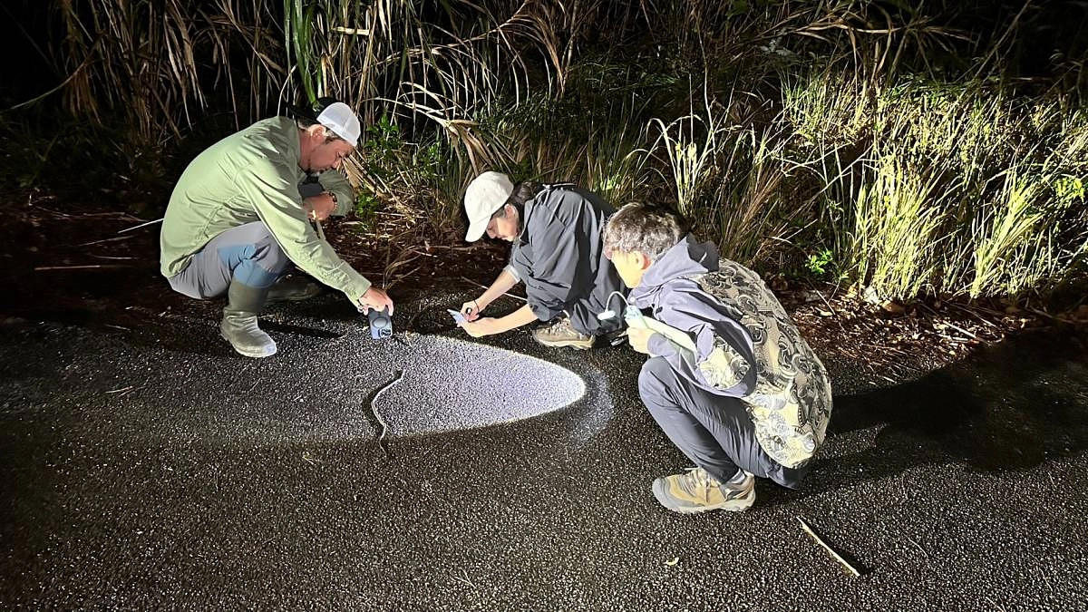 プロジェクトのプロモーション動画製作とSNS拡散！