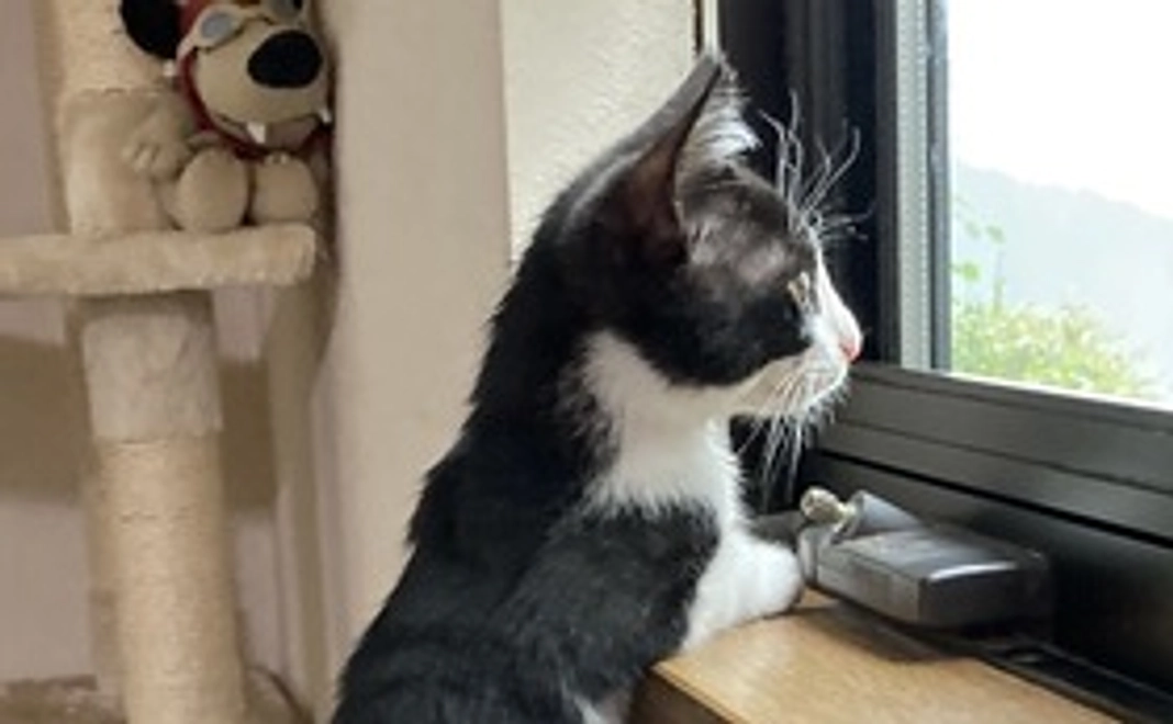 タム全額応援コース1 （リターン不要の方へ）