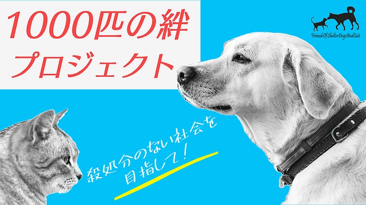 殺処分にあう保健所の犬猫たちを助けたい！1000匹の絆プロジェクト
