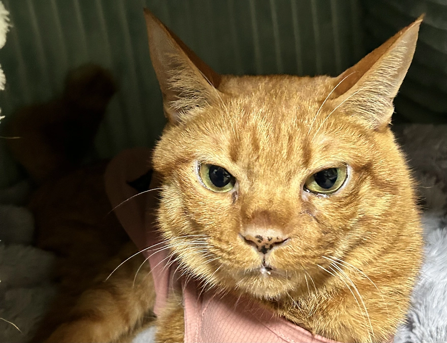 6/12  病院へ行きました　2.82kg