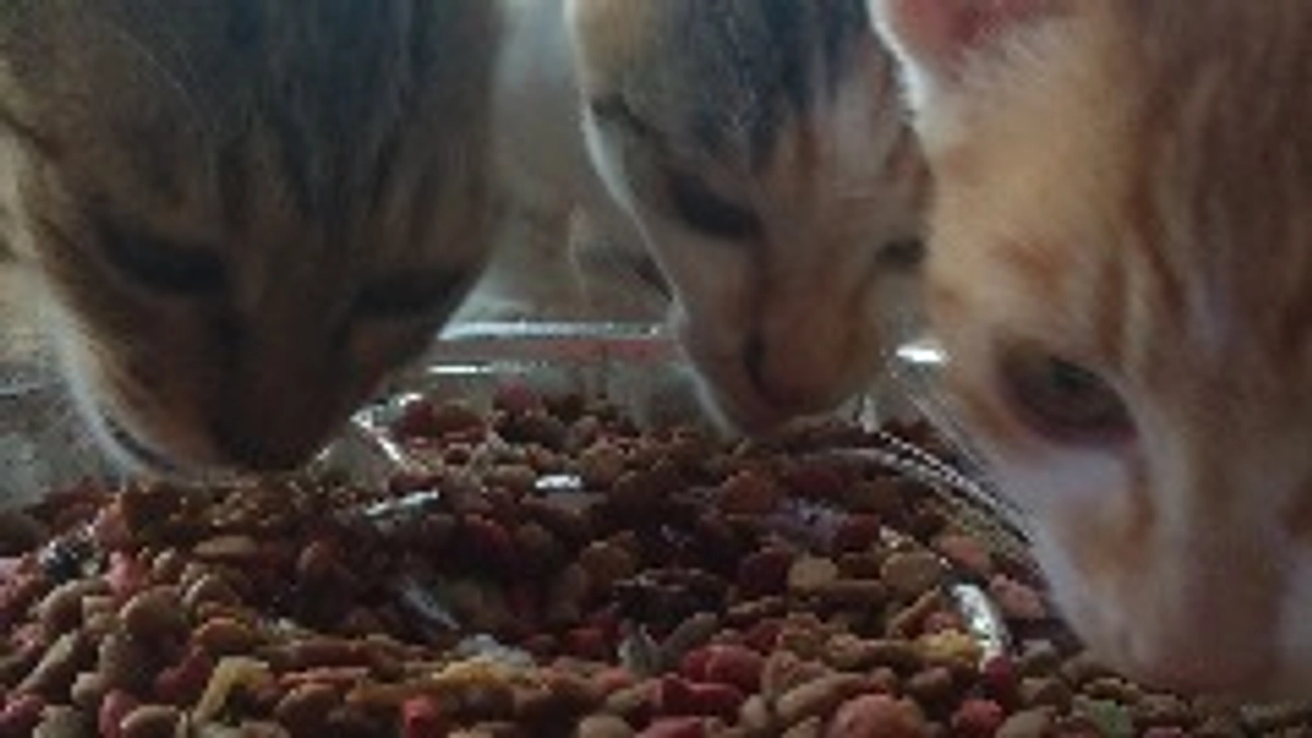 生かされてる事に毎日感謝😌