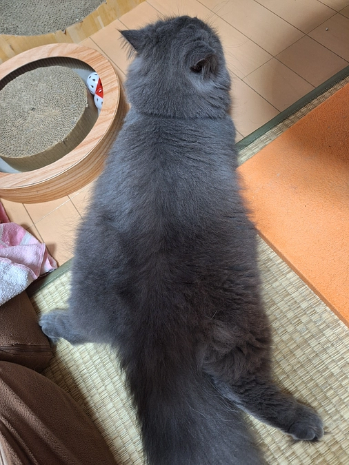 動物病院の日☘️