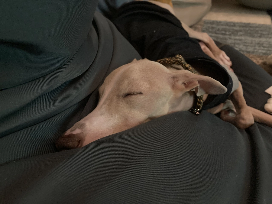 残り13日となりました！