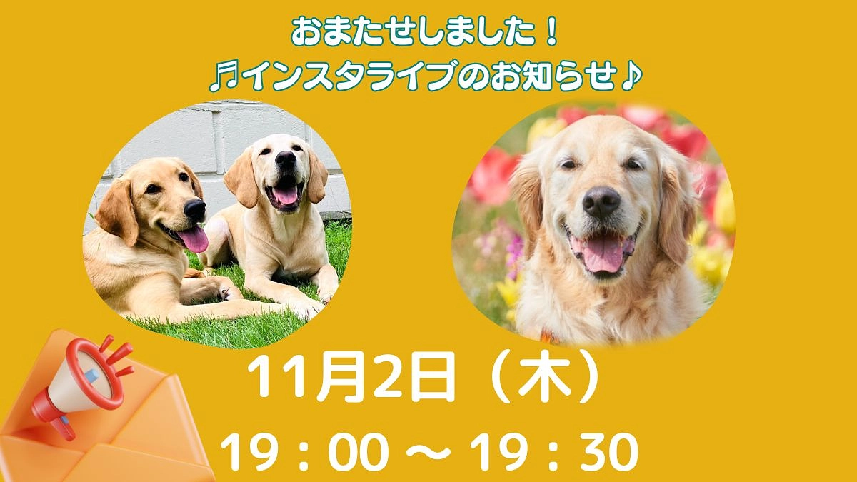 インスタライブのお知らせ♪